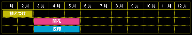 ポットマリーゴールドの栽培カレンダー