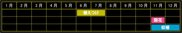 ローゼルの栽培カレンダー