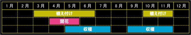 ロケットの栽培カレンダー