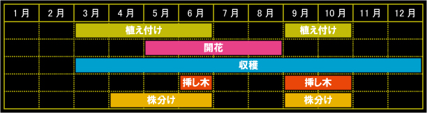 コモンタイムの栽培カレンダー