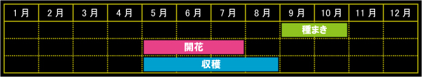 ニゲラの栽培カレンダー