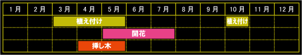 ルーの栽培カレンダー